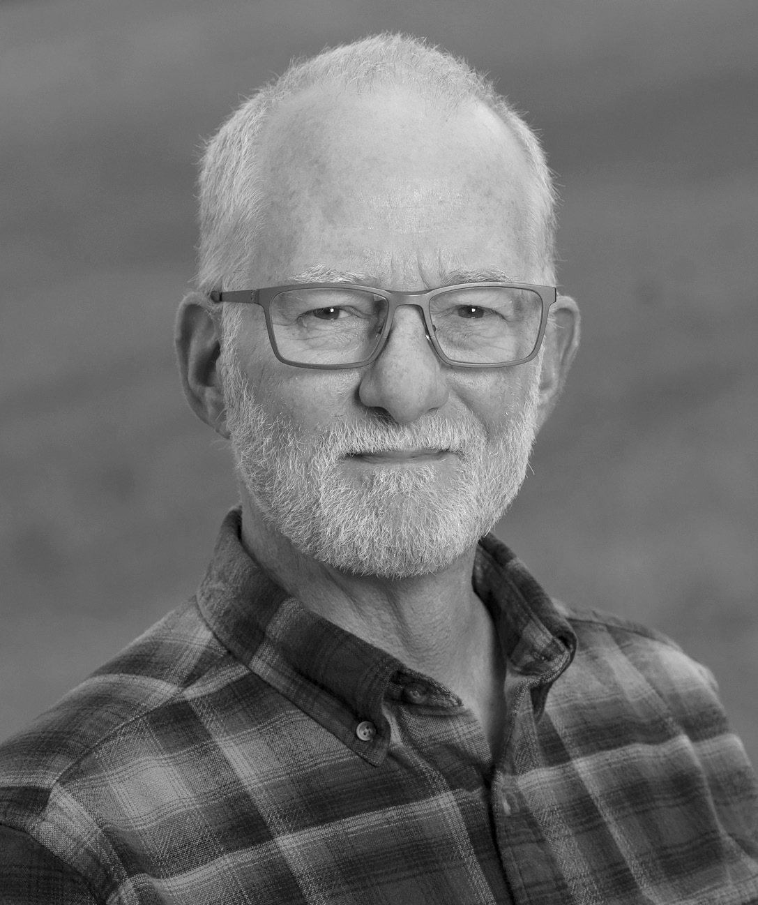 Steven L. Merritt